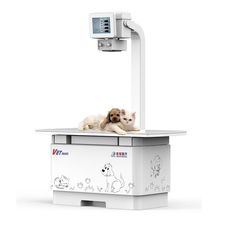 獸用dr如何選擇？有哪些選擇方法