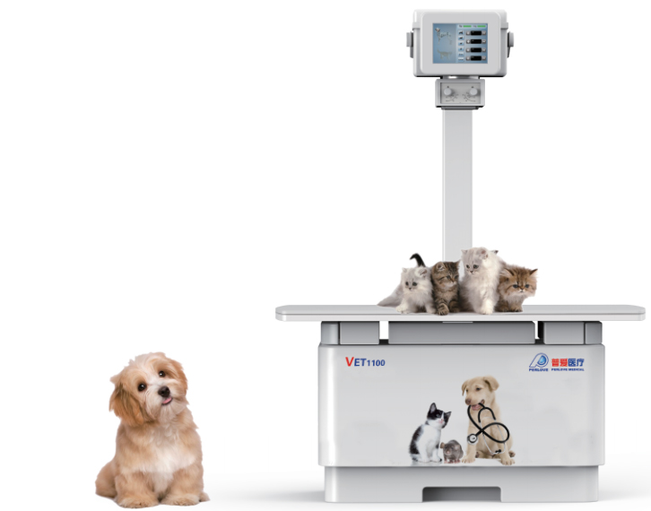 購買獸用DR需要關(guān)注哪些參數(shù)？先看這2點