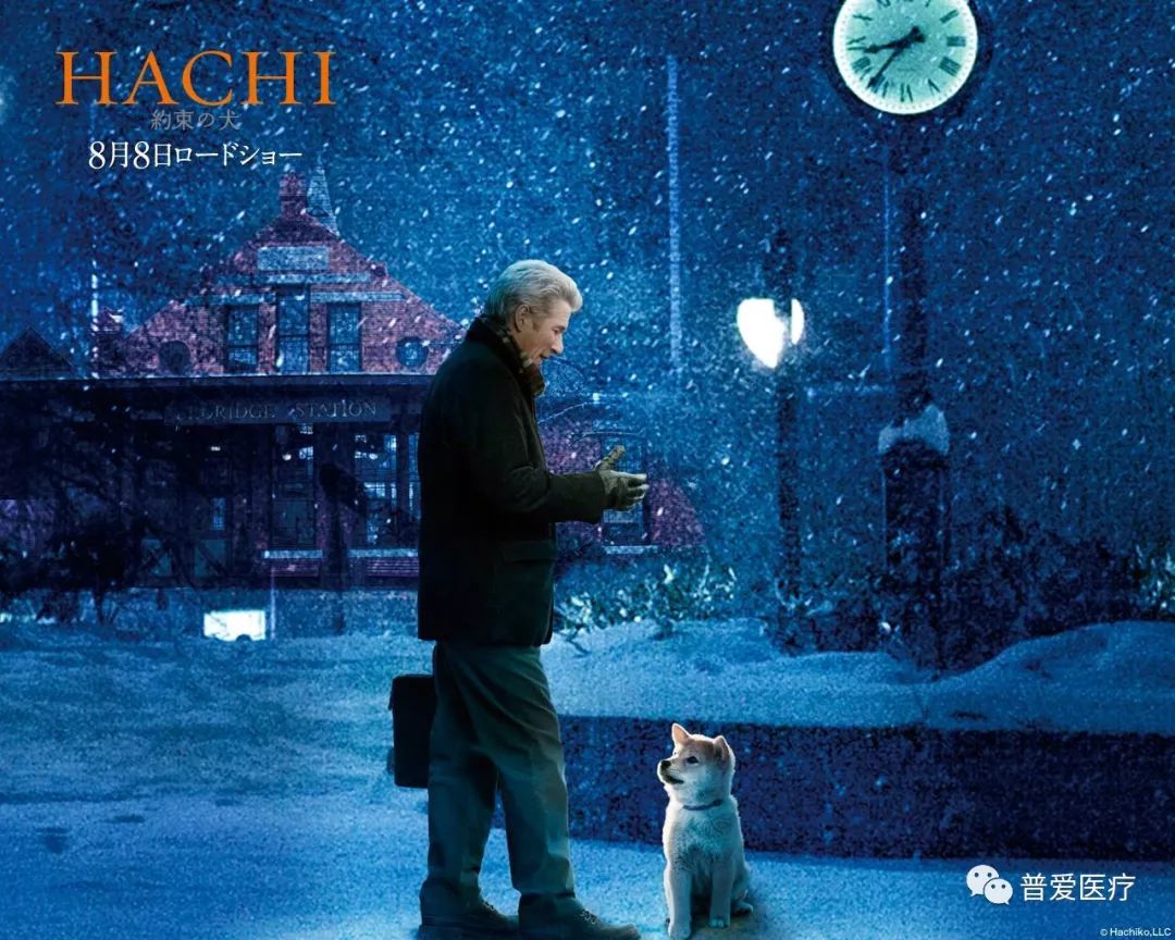 以仁醫(yī)之心關愛寵物健康