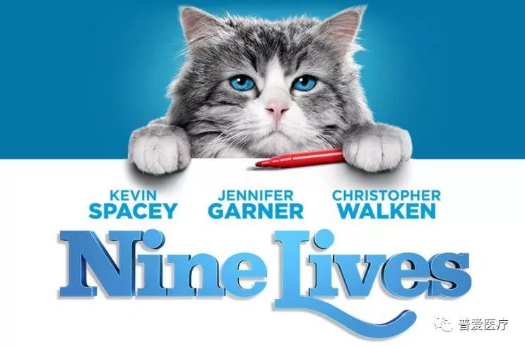 以仁醫(yī)之心關愛寵物健康