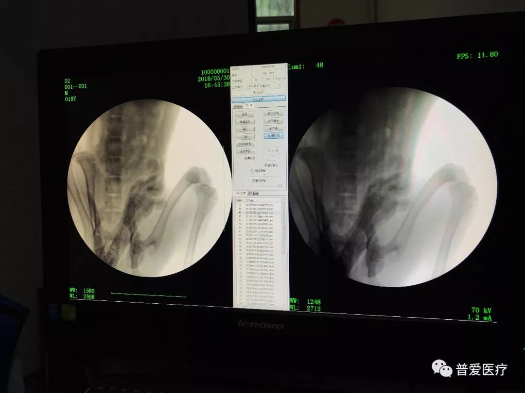 以仁醫(yī)之心關愛寵物健康