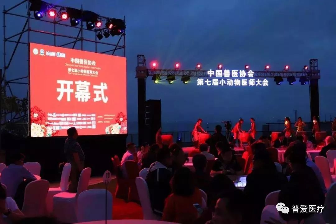 以仁醫(yī)之心關愛寵物健康